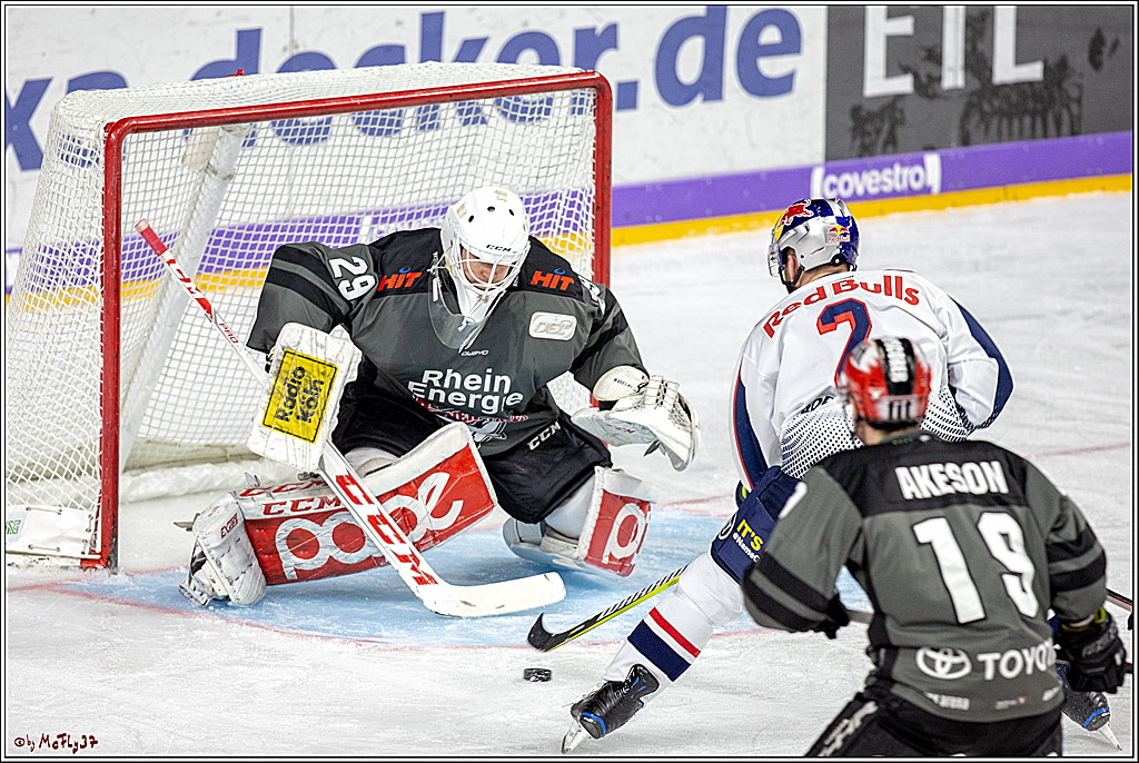 DEL; Koelner Haie - EHC Red Bull Muenchen, 17.02.2019